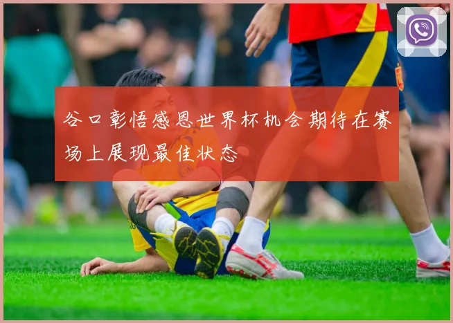 谷口彰悟感恩世界杯机会期待在赛场上展现最佳状态
